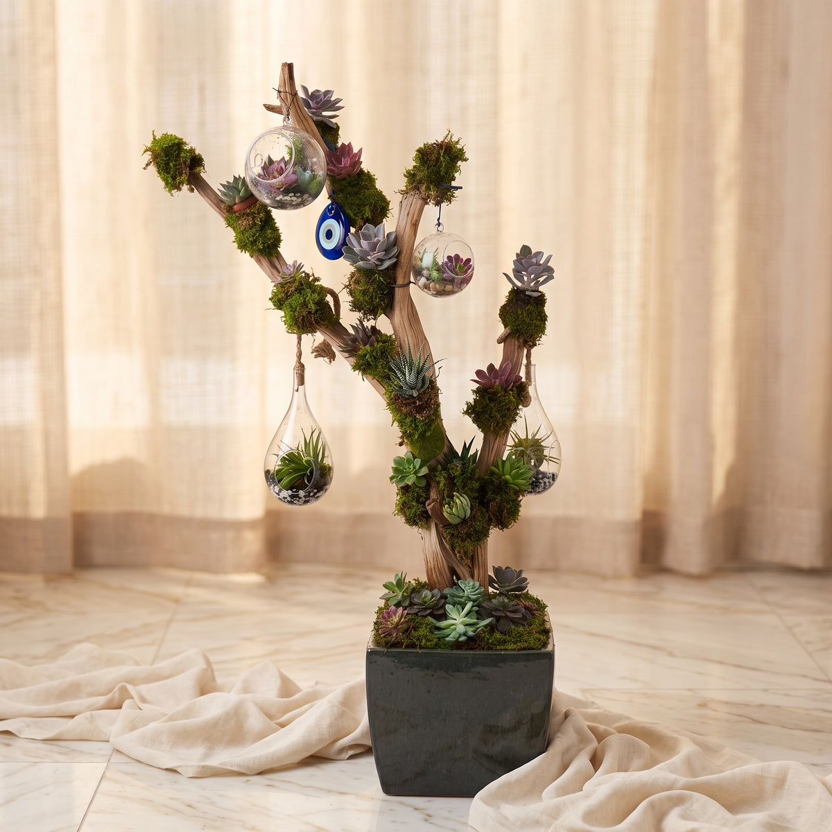 Living succulent tree sculpture on driftwood branches with moss, echeverias and hanging glass terrariums in a charcoal planter - TJ Flowers NYC