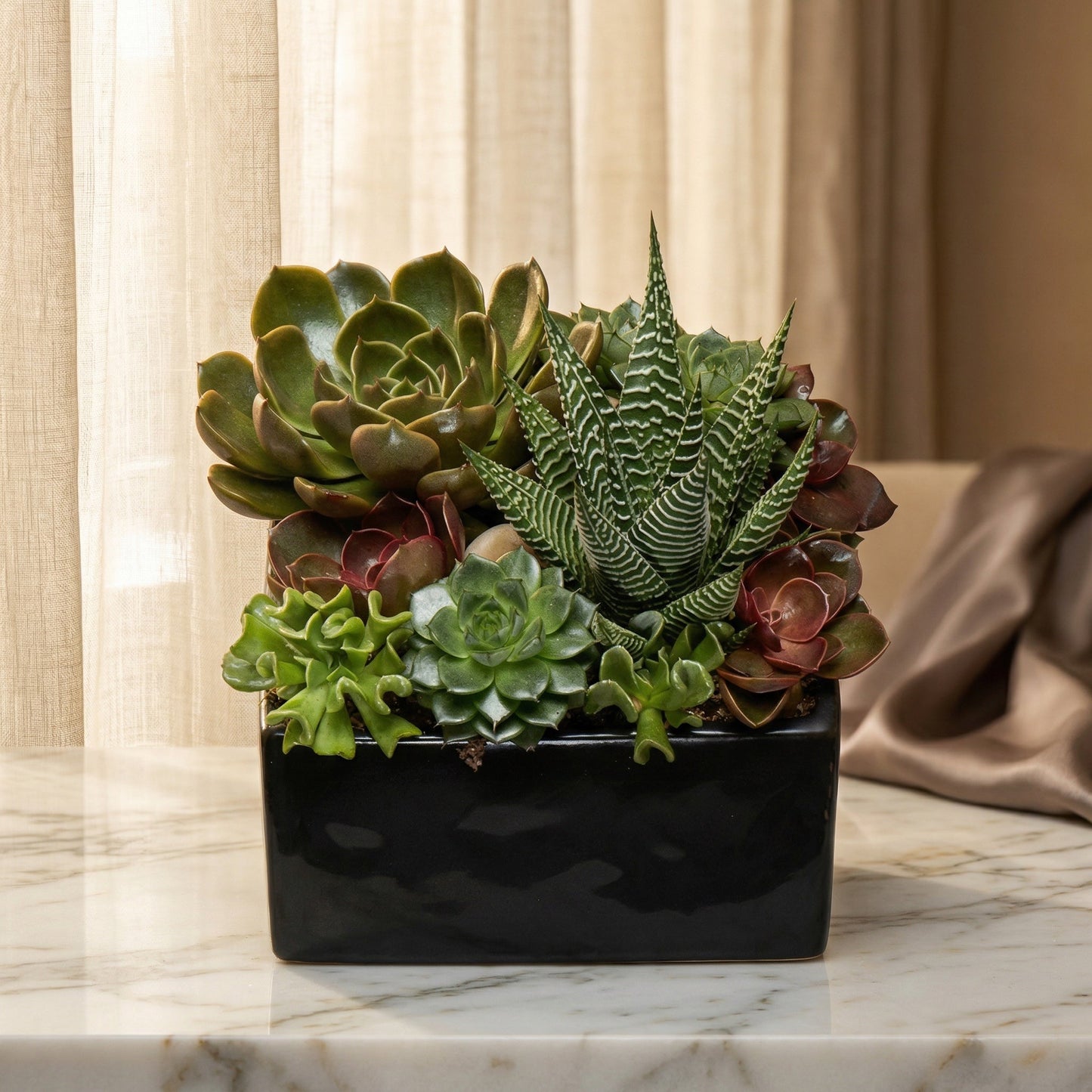 A modern arrangement of various green and reddish succulents in a sleek black rectangular planter. - TJ Flowers NYC