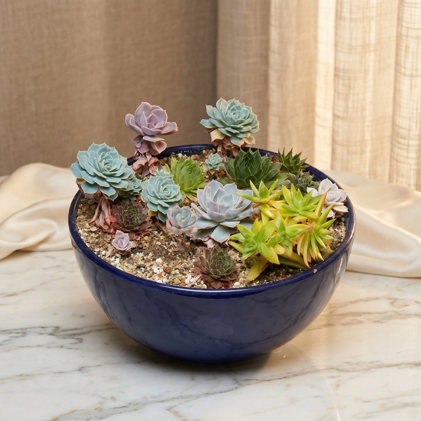 A variety of blue, green, and purple succulents in a deep blue ceramic bowl - TJ Flowers NYC