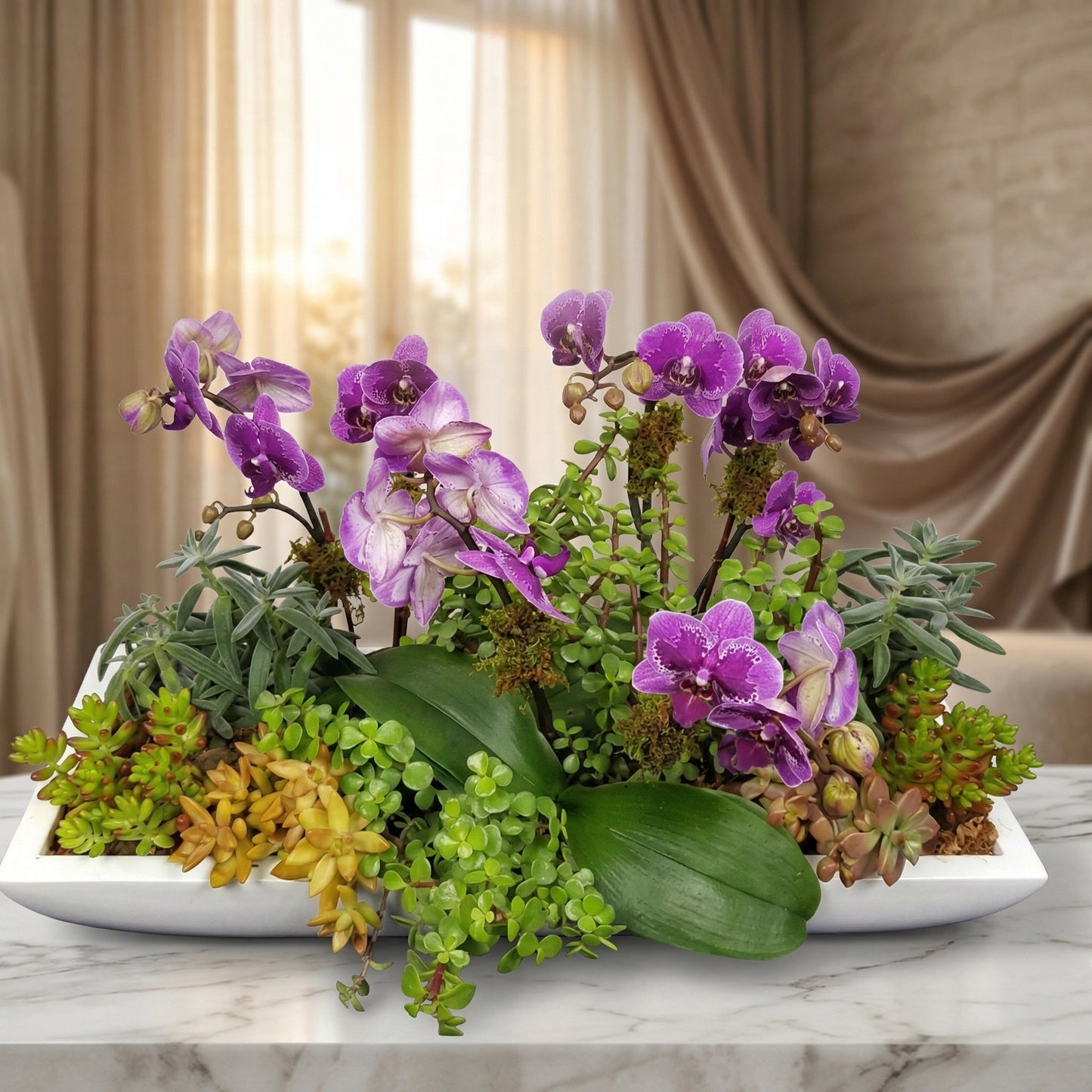 Purple phalaenopsis orchids and mixed succulents in a white rectangular planter - TJ Flowers NYC