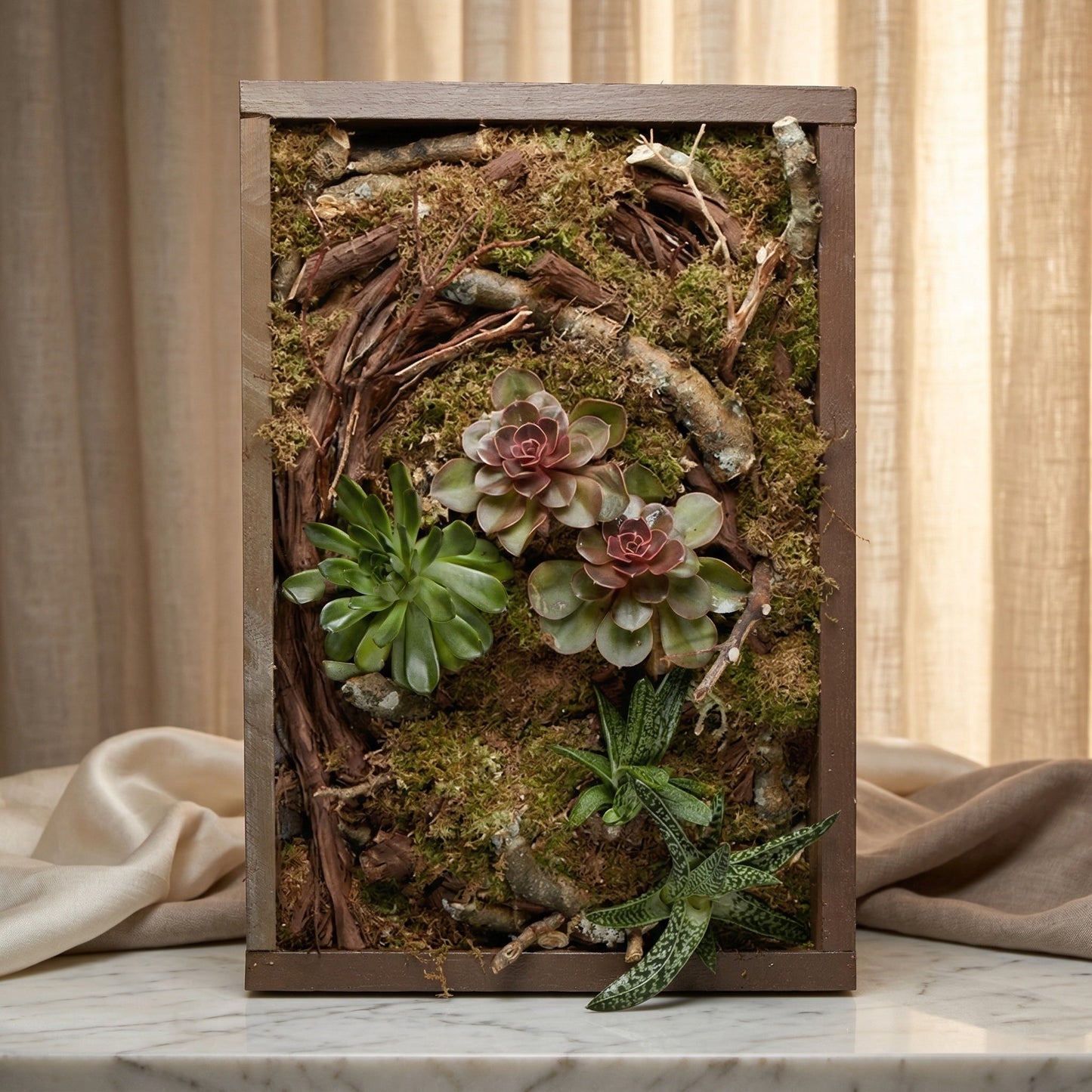 Framed vertical garden with green and purple succulents, moss, and natural wood branches. - TJ Flowers NYC