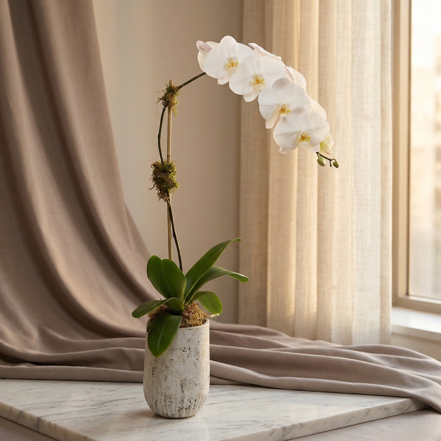 Luxe Grace — TJ Flowers NYC, same-day Manhattan delivery