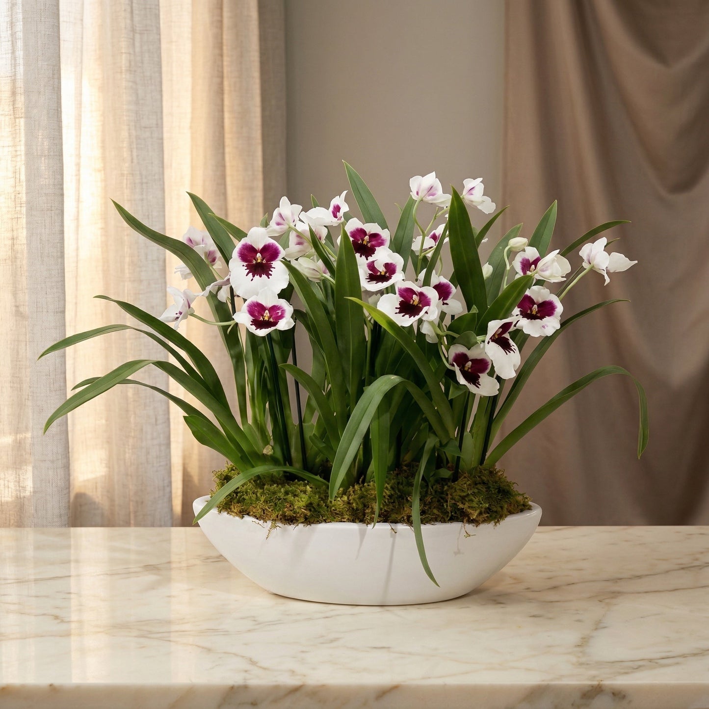 White and purple orchid plant in a white ceramic bowl with moss - TJ Flowers NYC
