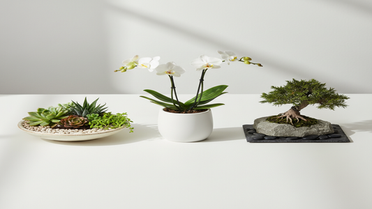 Allergy-Free Flowers for NYC Hospital Stays: A Florist's Guide
