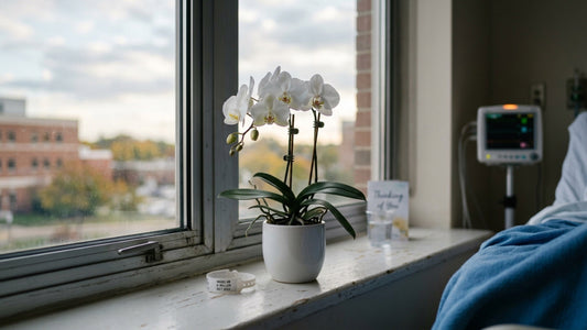 Memorial Sloan Kettering Flower Delivery: Gift Etiquette for Cancer Patients