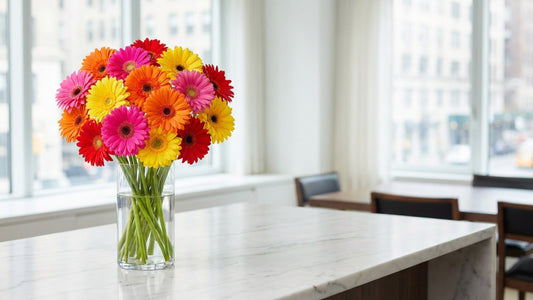 How to Care for Gerbera Daisies