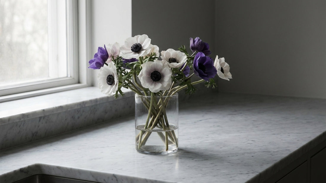 How to Care for Anemones