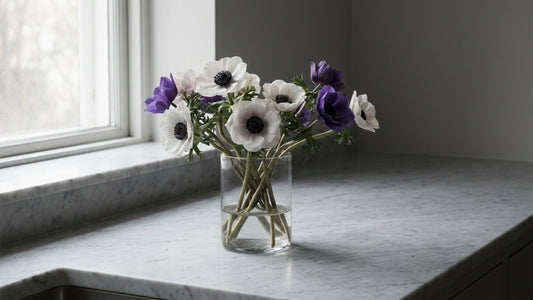 How to Care for Anemones