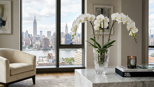 Cut white phalaenopsis orchids in crystal vase — TJ Flowers NYC
