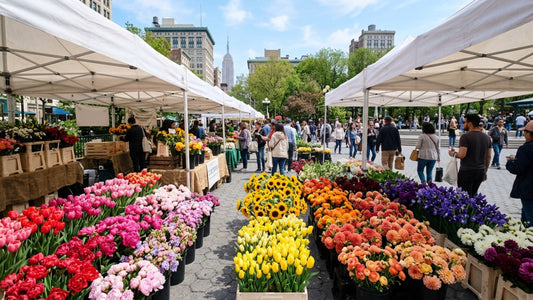 Vibrant seasonal flower market display in NYC