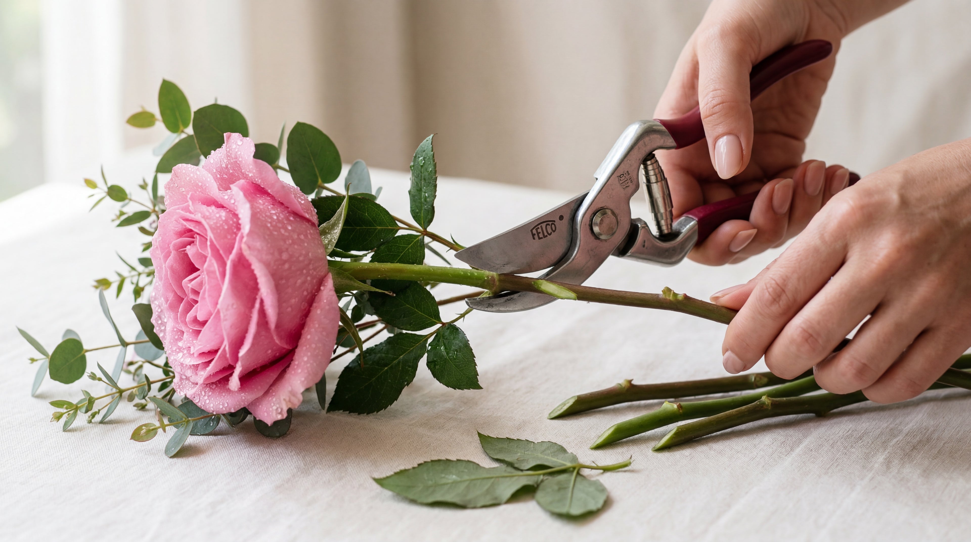 TJ Flowers expert florist trims a fresh pink rose stem with professional shears for a custom arrangement.