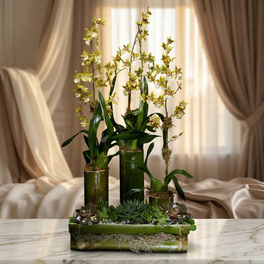 Yellow-green Oncidium orchids and succulents in a bamboo planter - TJ Flowers NYC