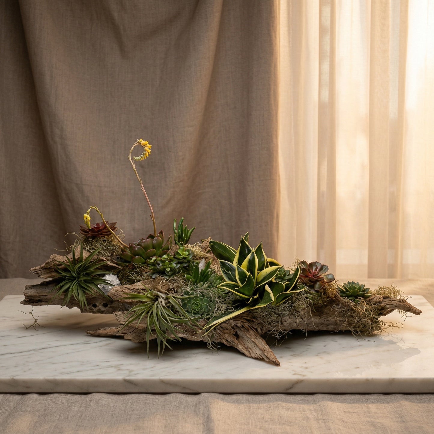 Succulent and air plant arrangement on natural driftwood with moss and crystal accents - TJ Flowers NYC