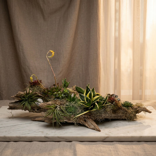 Succulent and air plant arrangement on natural driftwood with moss and crystal accents - TJ Flowers NYC