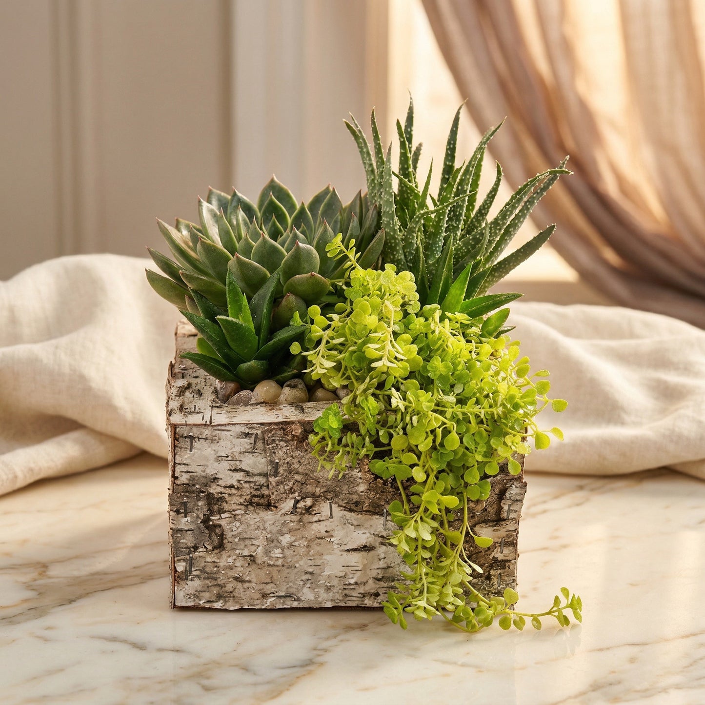 A rustic birch bark planter filled with green succulents and trailing greenery on a marble surface - TJ Flowers NYC