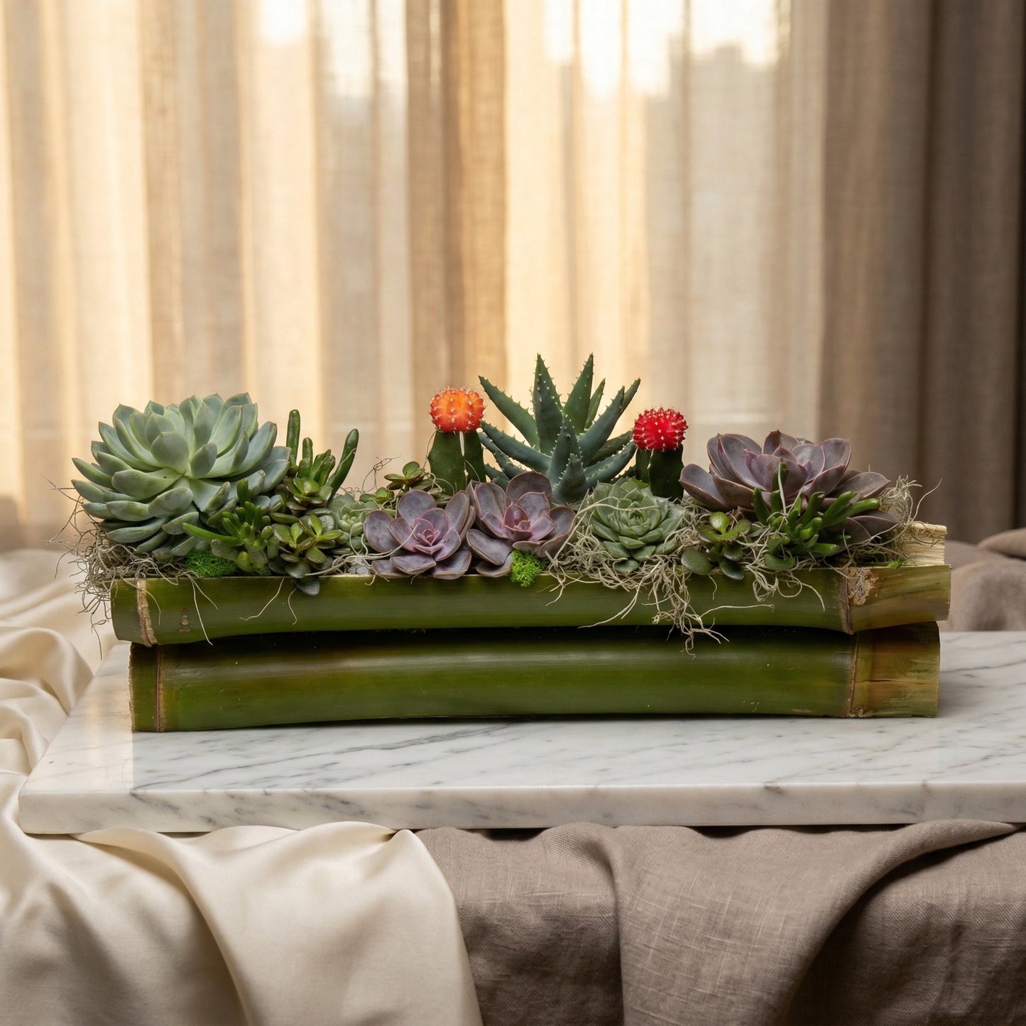 Succulent and cactus garden in a bamboo planter with moss - TJ Flowers NYC