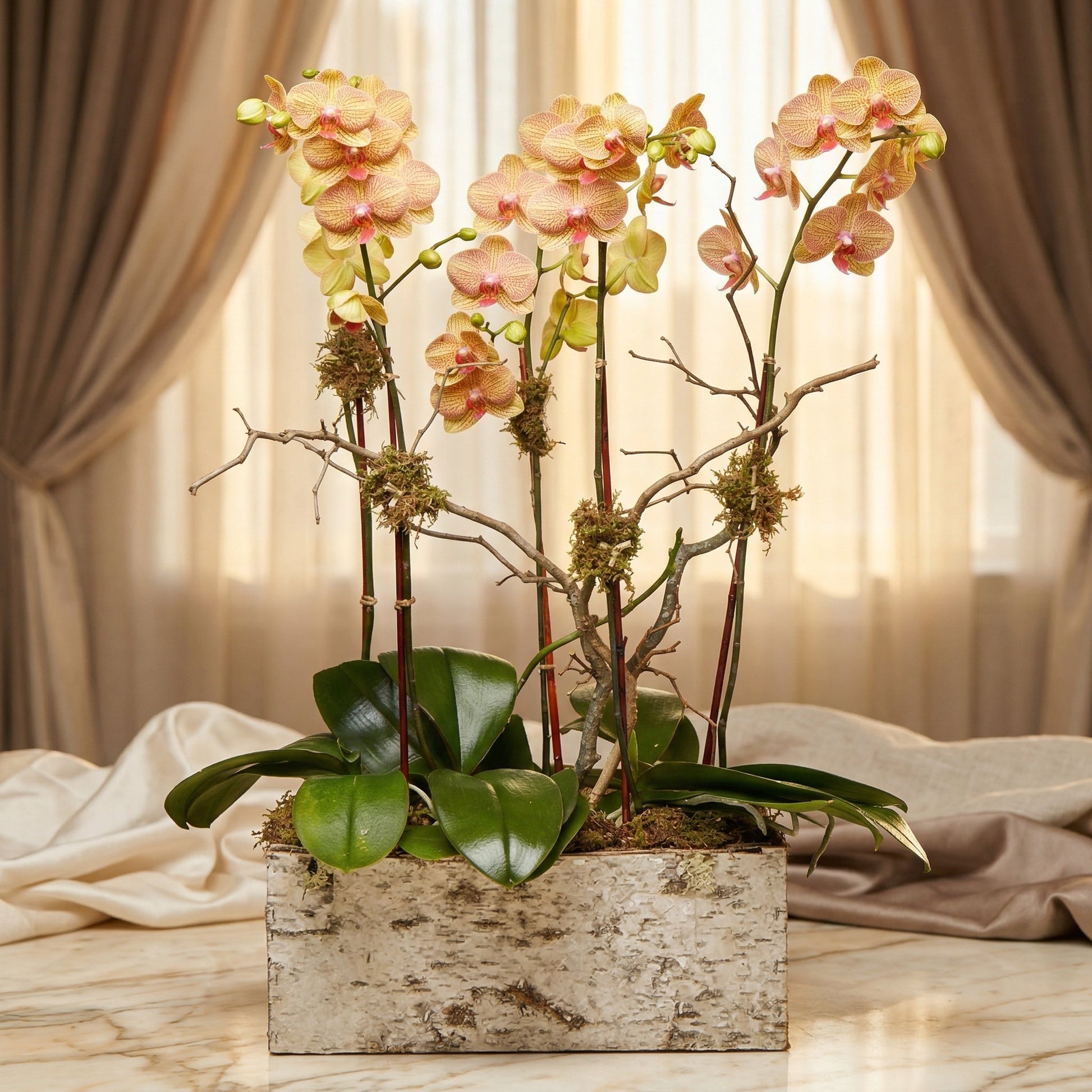 Yellow and pink phalaenopsis orchids in a birch bark planter with moss and branches - TJ Flowers NYC