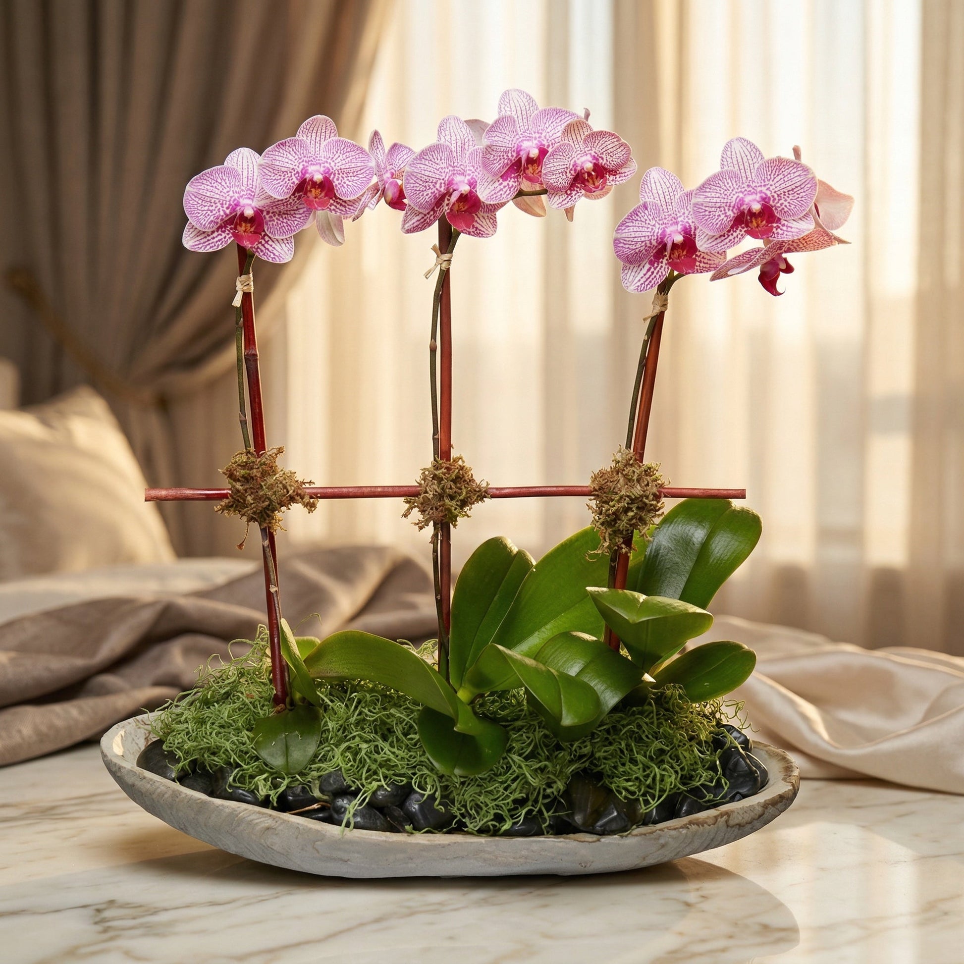 Three pink phalaenopsis orchid plants in a low stone bowl with moss and river rocks - TJ Flowers NYC