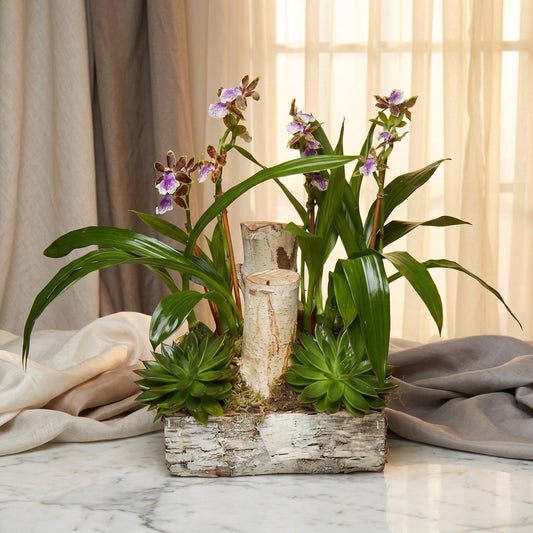 Purple and brown orchids with succulents in a birch bark planter - TJ Flowers NYC