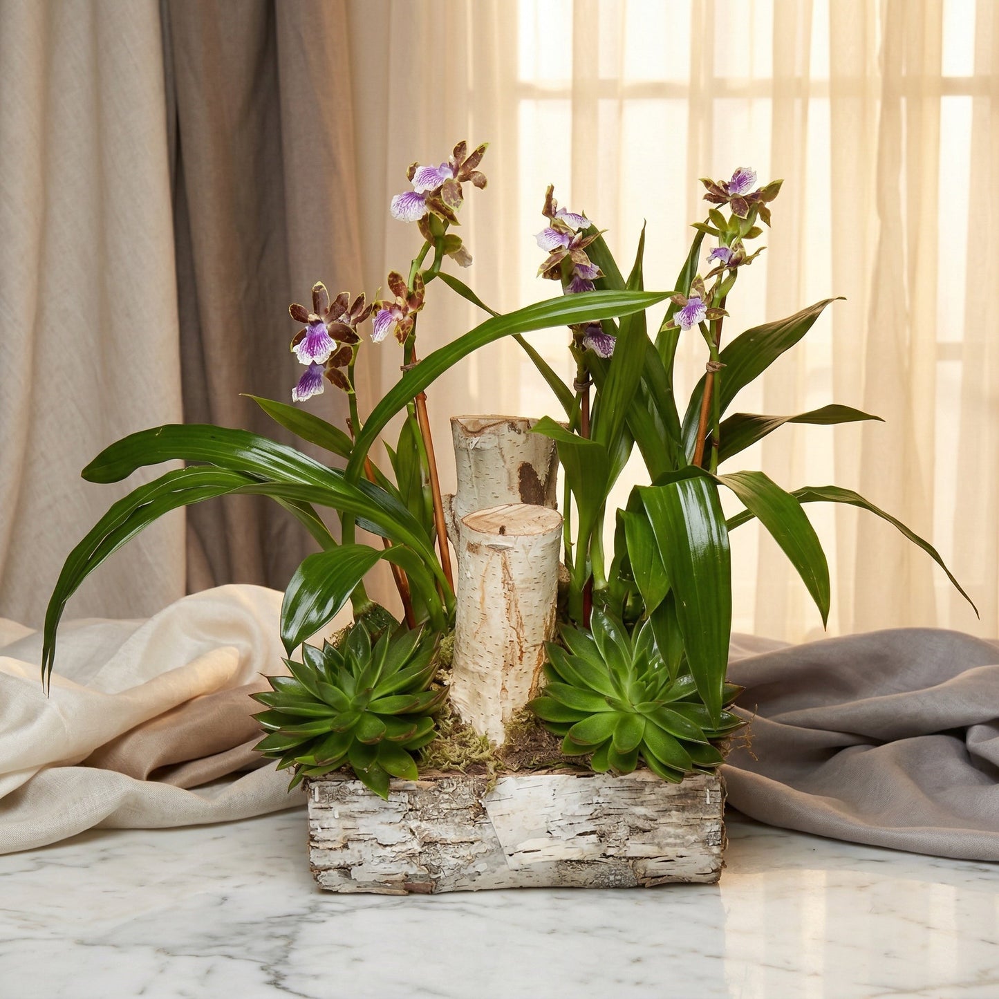 Zen Ballet — TJ Flowers NYC, same-day Manhattan delivery