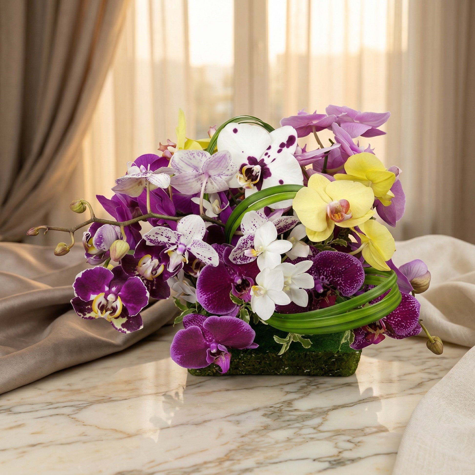 Vibrant purple, yellow, and white phalaenopsis orchids in a mossy base on a marble table - TJ Flowers NYC