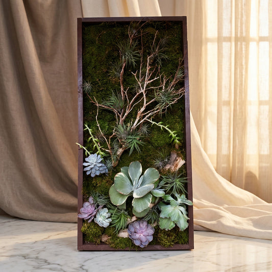Vertical succulent and air plant garden in a dark wood frame with moss and branches - TJ Flowers NYC