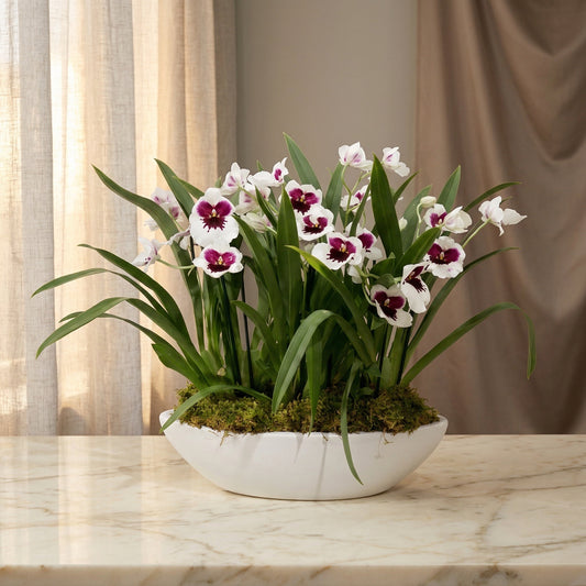 White and purple orchid plant in a white ceramic bowl with moss - TJ Flowers NYC