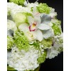 Tjflowers 0029