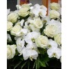 Tjflowers 0207