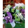 Tjflowers 0308